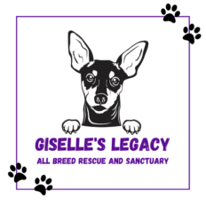 Giselle's Legacy All Breed Rescue and Sanctuary